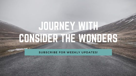 journey with consider the wonders – Consider the Wonders