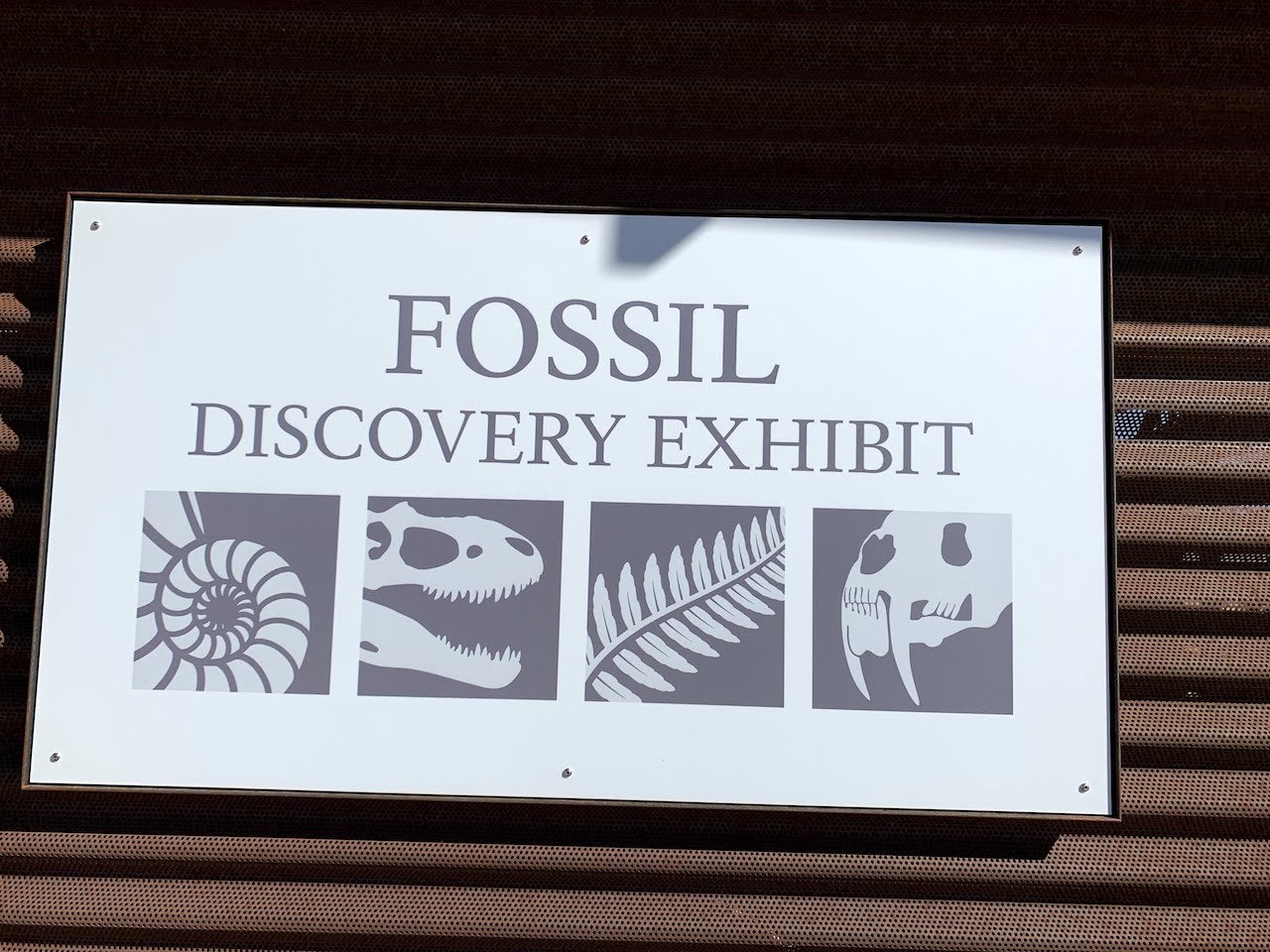 Fossil Discovery Exhibit – Consider The Wonders