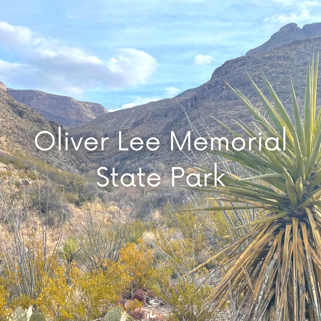 Oliver Lee Memorial State Park – Consider the Wonders